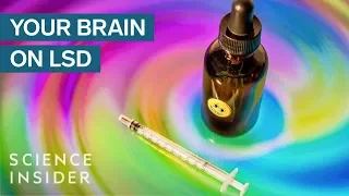 What LSD Does To The Human Brain