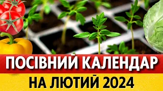 Що та коли сіємо у ЛЮТОМУ 2024? Посівний календар на лютий 2024 по днях, місячний календар городника