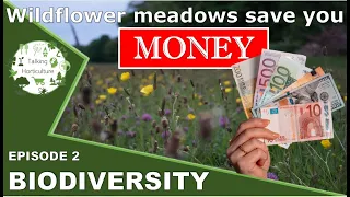 Biodiversity - Meadows Can save you money?