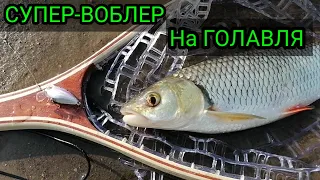 УЛОВИСТЫЙ ВОБЛЕР НА ГОЛАВЛЯ!!!🤩 ВСТРЕТИЛ КАБАНА НА РЫБАЛКЕ.😱 ГОЛАВЛЬ В КОНЦЕ АВГУСТА!! #Smithcamion