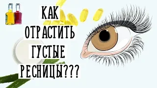 Как отрастить густые и длинные ресницы в домашних условиях?