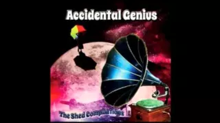 Can Ya Hear It - Accidental Genius