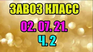 🌸Продажа орхидей. ( Завоз 02.07.21 г.) 2 ч. Отправка только по Украине. ЗАМЕЧТАТЕЛЬНЫЕ КРАСОТКИ👍