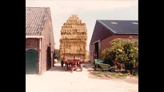 Bonnenpolder - Vreugdenhil - Hooien