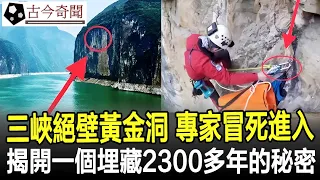 驚人發現！三峽絕壁發現黃金洞，專家冒死進入，揭開一個埋藏2300多年的秘密！#奇聞#考古#古墓#文物#出土#國寶#盜墓#古今奇聞