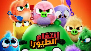 مجموعة من الطيور بيتعاونوا علشان يواجهوا الخطر الي بيهدد جزيرتهم | ملخصات افلام ديزني Angry Birds 2