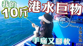 我的10斤港水巨物 洪荒之力 頂到手痛又腳軟┃香港釣魚┃一魚三吃┃大漁小魚#201┃中文字幕