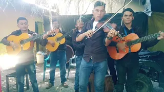 1080P A mi Modo e Vivido La Vida - Conjunto Américan Del Sur