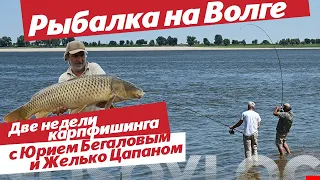 Две недели рыбалки на Волге с Ю. Бегаловым и Ж. Цапаном