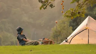 YOUNG GIRL SOLO CAMPING, DISCOVER LIFE IN COUNTRYSIDE - THE RICE FIELD IS RIPE, CHESTNUT HARVEST