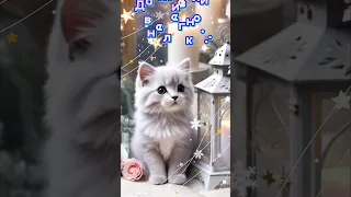 Добрый Зимний Вечер! 🏙️🕊️🎄❄️💞