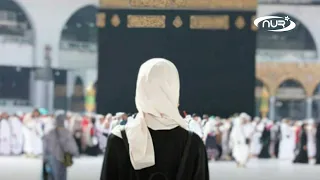 В Хадж без мужа. Саудовская Аравия ввела новые правила