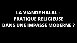 LA VIANDE HALAL : PRATIQUE RELIGIEUSE DANS UNE IMPASSE MODERNE ? - Maliho