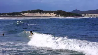 Surfing at One Mile Beach, NSW 2016- Feb