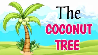 Short moral story | The Coconut Tree Story | Short story for kids | Writeup Stories#storyinenglish