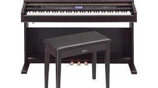 ♫♭♮♩♩The Ten Best Digital Piano for home review