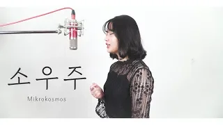 BTS - Mikrokosmos (소우주) COVER