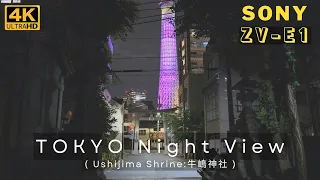 【Sony ZV-E1】 Tokyo Night View (Ushijima Shrine) 東京夜景 （牛嶋神社） Log撮影 S-Log3