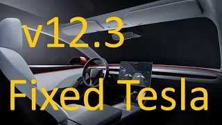 Watch how FSD 12.3 fixed Tesla #ai #4k #update