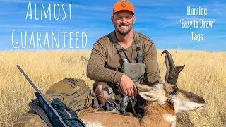 ALMOST GUARANTEED - Hunting Wyoming Pronghorn Antelope on EASY to draw tags