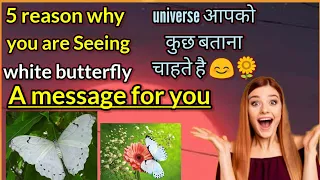 white butterfly meaning |universe sign 5 reason why you are seeing whitebutterfly |spiritual meaning