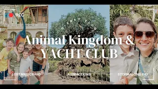 DISNEY WORLD Vlog ✨ Animal Kingdom ✨ Yacht & Beach Club's Stormalong Bay