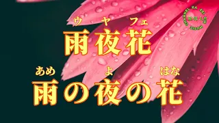 雨夜花（雨の夜の花）/漢譯+注音-演唱YuYu