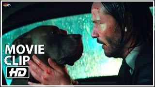 John Wick: Chapter 3 Parabellum Movie Clip "Taxi" (2019) HD | Mixfinity International