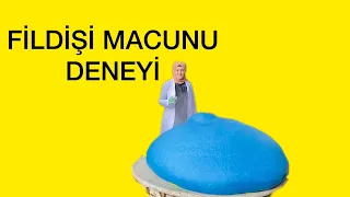 EĞLENCELİ BİLİM DENEYLERİ/FİLDİŞİ MACUNU DENEYİ