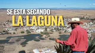 "LAGUNA GRANDE TIERRA DEL QUESO AÑEJO"