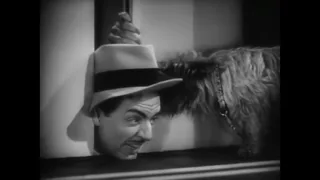 Love Crazy 1941 Trailer   William Powell, Myrna Loy