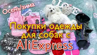 ALIEXPRESS: ОДЕЖДА ДЛЯ СОБАК НА ОСЕНЬ/ЗИМУ.