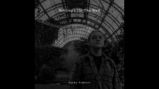 Sasha Timirev - Writing's On The Wall (cover Sam Smith)