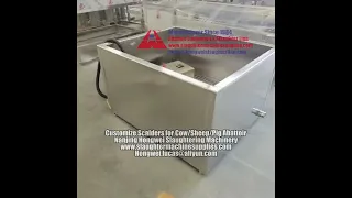 Customize scalders scalding tanks for cattle sheep pig slaughterhouse abattoir slaughter equipment