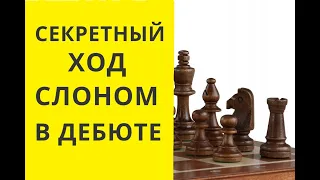 Шахматы. Секретный ход слоном в дебюте. Быстрая победа. онлайн. бесплатные. играющие