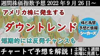 【日経平均・ダウ・ナスダックの予想】株式市場にダウントレンドの発生の危険性【週間株価指数予想】