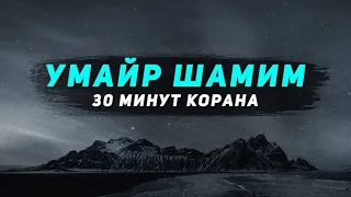 30 минут прекрасного чтения Корана!  || Умайр Шамим