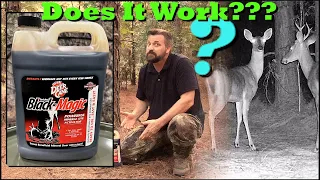 Deer Cocaine?  Testing Deer Co-Cane Black Magic Mineral Site Deer Attractant! 🦌😁