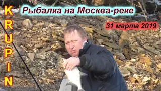Рыбалка в большой компании друзей на Москве-реке. 31 марта 2019
