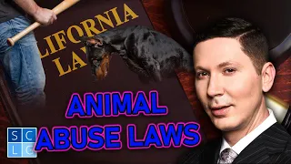 California "Animal Abuse" Laws | Penal code 597 PC