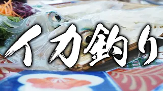 見たらイカを釣りに行きたくなる動画5選！！