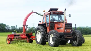 Fiat 1180 Turbo DT in the field chopping grass w/ Taarup Forage Harvester | DK Agriculture