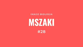 Mszaki