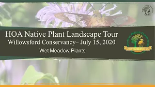 #11 Wet Meadow Plant Walk