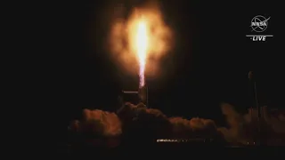 VIDEO NOW SpaceX launches Crew-3 mission sending four astronauts to the International Space Station