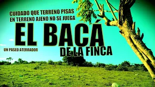 EL BACÁ DE LA FINCA PELÍCULA DOMINICANA DE TERROR Y SUSPENSO HD FULL