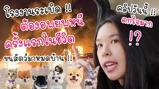 ⚠️⁉️ ฉุกเฉิน !!! อพยพหนีออกจากบ้านครั้งแรกในชีวิต !! ขนสัตว์ออกมาหมดบ้าน !!