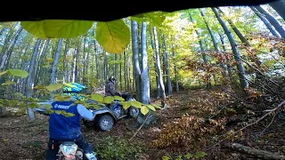 Everything will be ENDURO)