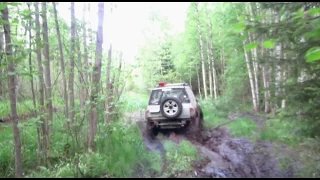 Offroad. Suzuki JimnySuzuki Escodo бездорожье близ д. Гостилицы