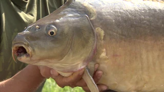 Korda Thinking Tackle Season 9: Ep 4 Tom Dove & Simon Scott fishing Todber Manor  | Carp Fishing
